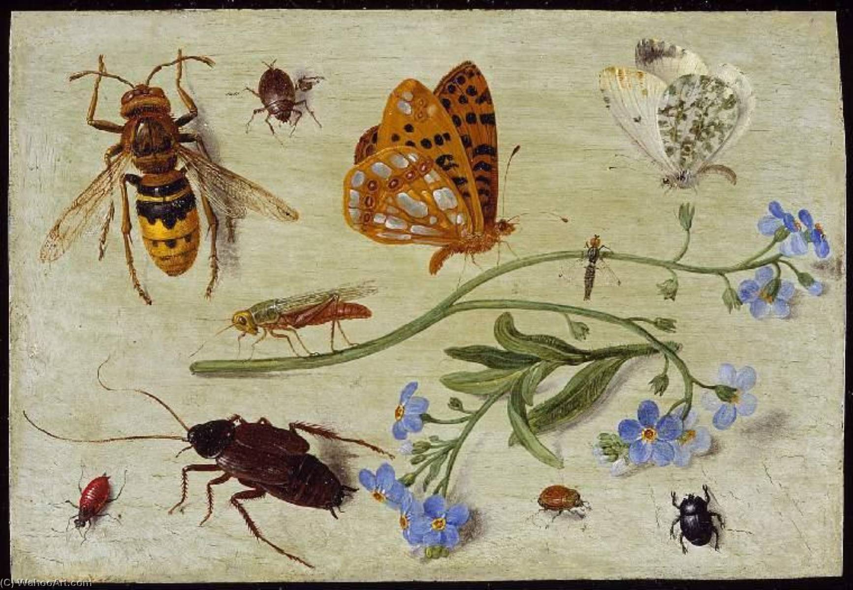 Buy Museum Art Reproductions Insects By Jan Van Kessel The Elder 1626
