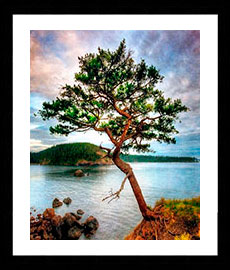 Photos Landscape -  Fine Art painting copy